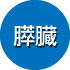 膵臓